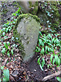 Old Boundary Marker