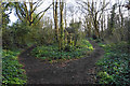 Paths on Bernards Heath