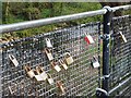 Lovelocks in Millhouses Park