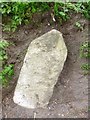 Old Milestone by the A388, east of Taylor Shop Plantation