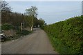 Footpath to White House Farm