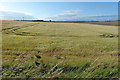 Fife farmland along the A955