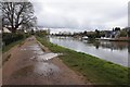 Thames path towards Laleham