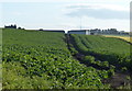 Farmland near the Grange