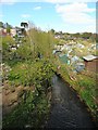 Stream runs through the Odibourne Allotments