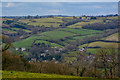 Tiverton : Countryside Scenery