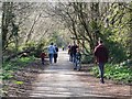 Tiverton : Footpath