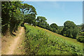 Footpath from Stoke Gabriel