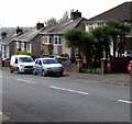 Exotic trees in a Brynglas Road garden, Newport