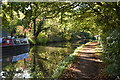 Grand Union Canal and walk