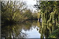 River Gade / Grand Union Canal