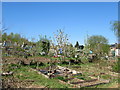 Round Hill allotments Marlbrook