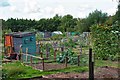 SP3508 : Lakeside Allotments, Witney, Oxon by P L Chadwick