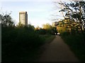 New flats in West Hendon from the park opposite