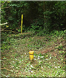 SX9066 : Post and pipe near Nightingale Park by Derek Harper
