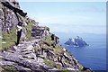 V2460 : On Great Skellig - path below Monastery by Colin Park