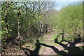 Footpath junction at top of bank by B4251