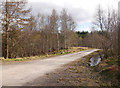 NH4840 : Track into the forest, Culburnie by Craig Wallace