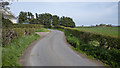 The School Road near Millisle