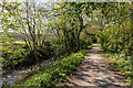 Public footpath alongside the Fal River