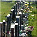 Sun and flowers, Carlton Cemetery