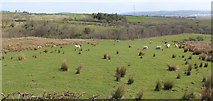 NS2953 : Farmland near Boag by Thomas Nugent