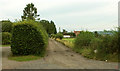 SO6588 : Bridleway past Walkhamwood Farm by Derek Harper
