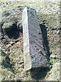 Old Boundary Marker