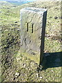 Old Boundary Marker