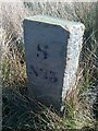 Old Boundary Marker