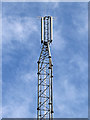 Communications mast (detail) near Salt in Staffordshire