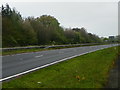 Footpath crossing point on A3 near Petersfield Golf Club