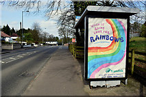 H4672 : When it rains look for rainbows, Omagh by Kenneth  Allen