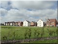 New housing development Faversham