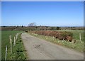 Road between Woodhead and Blackwood House