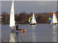 TQ2187 : Yachting on the Welsh Harp Reservoir by David Howard