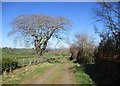 Approaching a farm track bend, Laigh Netherfield