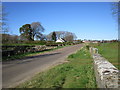 Burn Cottage and Holeburn Bridge