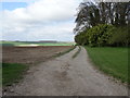 Farm track near Cottam Warren Farm