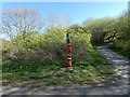 SJ9594 : Cockerel milepost by Gerald England