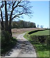 Along the Colley Broach Road