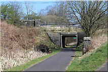 NS3356 : Lochwinnoch Loop Line cycle path by Thomas Nugent