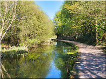 SD7606 : Manchester, Bolton and Bury Canal at Mount Sion by David Dixon
