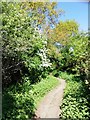 Carr Lane Footpath