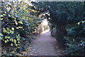 TQ6039 : Path, Dunorlan Park by N Chadwick