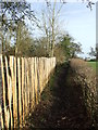 Footpath Looking North