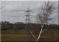 Pylon by Byfleet Junction