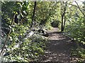 Footpath alongside the Metropolitan Line