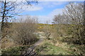 Approaching the bridge over Bucks Burn