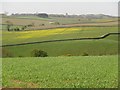 Fields north of Spotsmains near Kelso